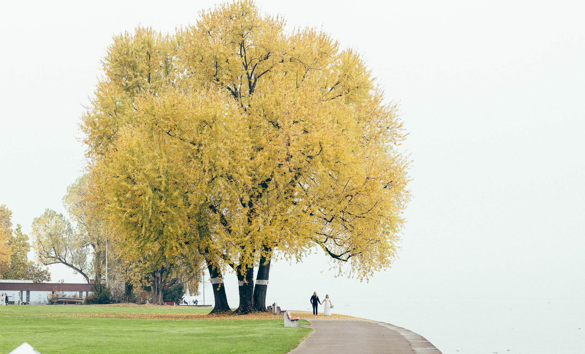 Export x3 1DX29340 Pano Hochzeit 2020 Monika & Sharru 5